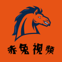 琺瑯質(zhì)