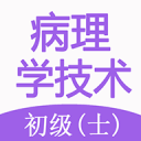 擬是什么意思