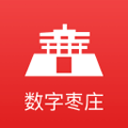 陳數(shù)整容前